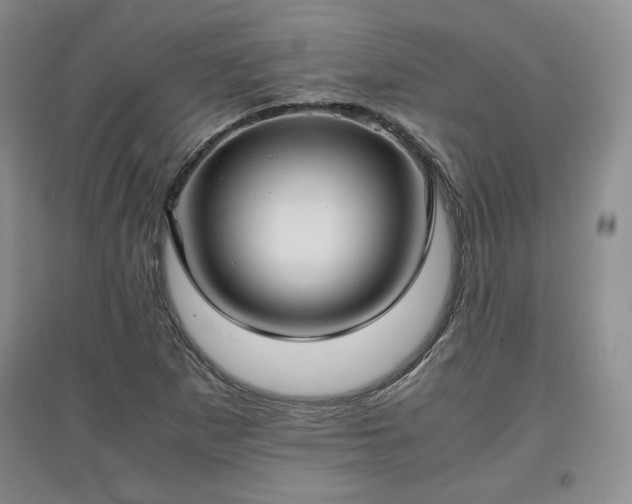 X0000097601265200803071422