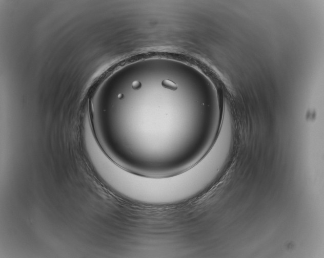X0000097601266200803071422