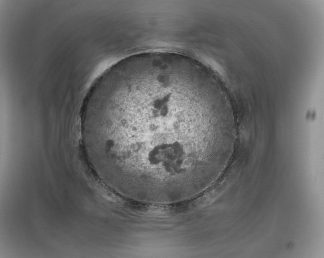 X0000097601267200803071422