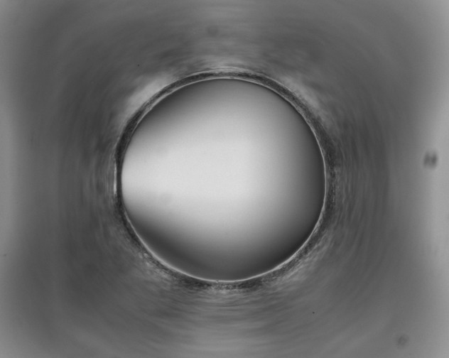 X0000097601269200803071422
