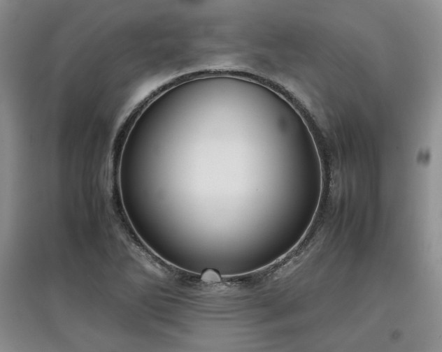 X0000097601270200803071422