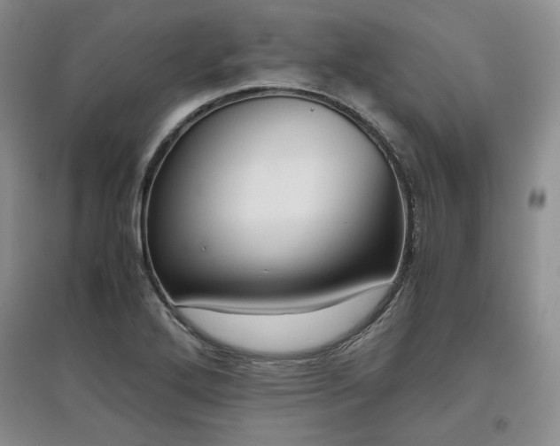 X0000097601272200803071422