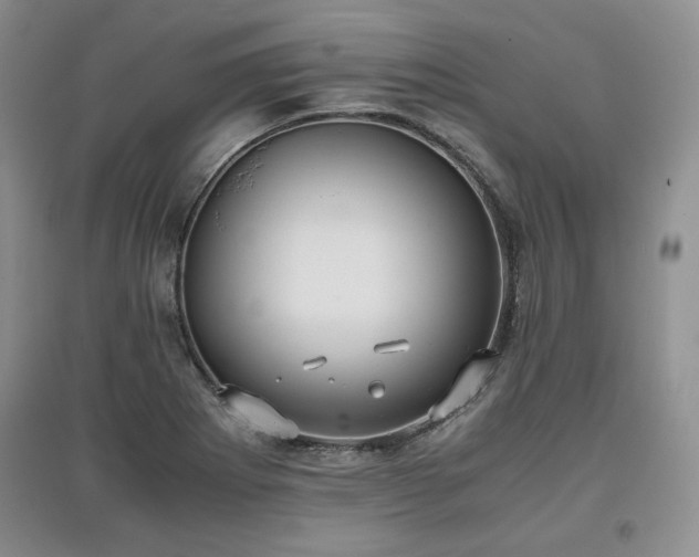 X0000097601273200803071422