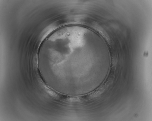 X0000097601274200803071422