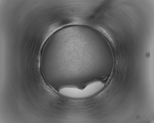 X0000097601276200803071422