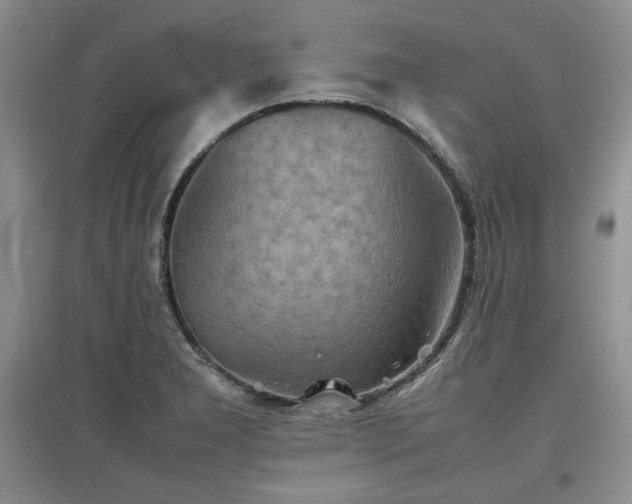 X0000097601277200803071422