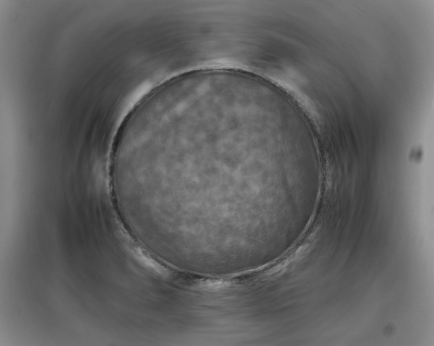X0000097601278200803071422