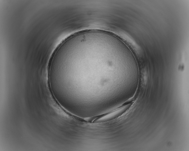 X0000097601280200803071422