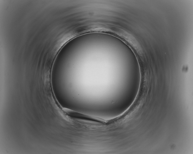 X0000097601281200803071422
