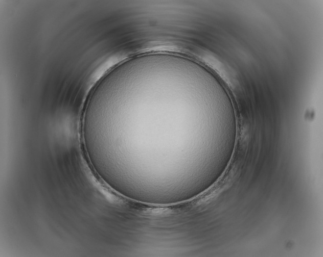 X0000097601282200803071422