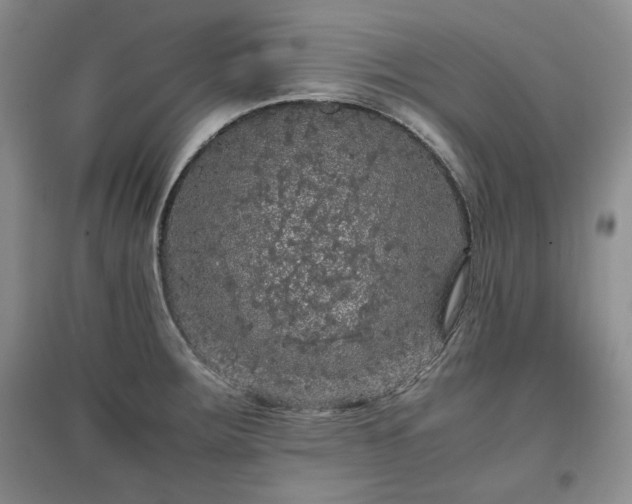 X0000097601283200803071422