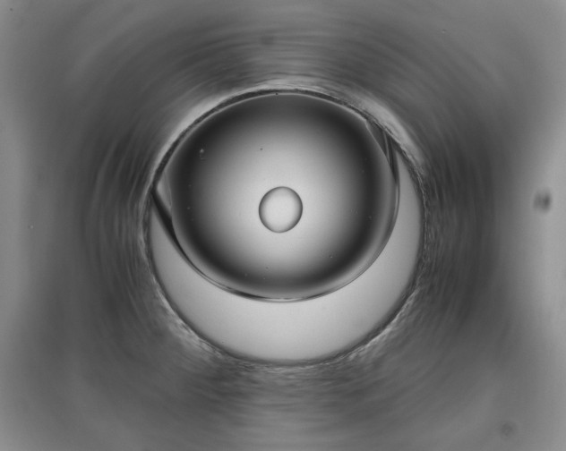 X0000097601284200803071422