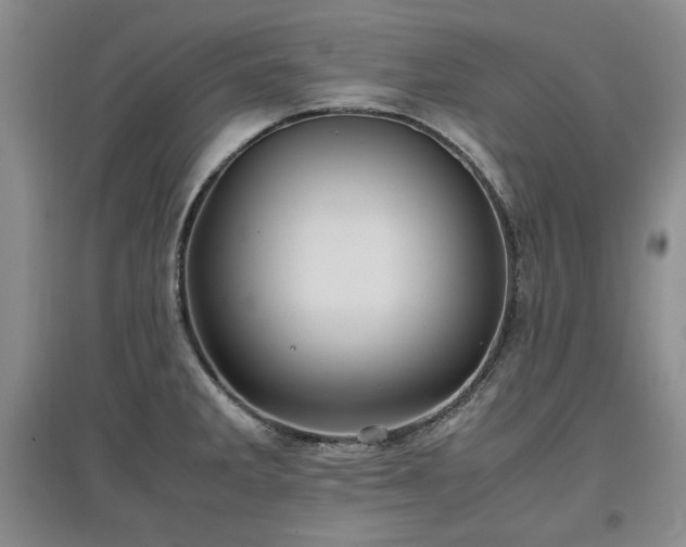 X0000097601285200803071422