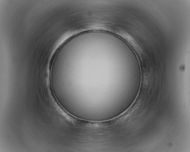 X0000097601286200803071422