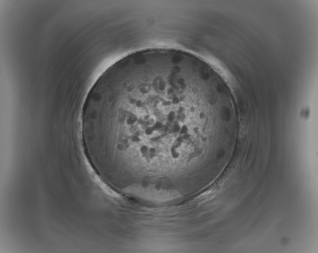 X0000097601287200803071422