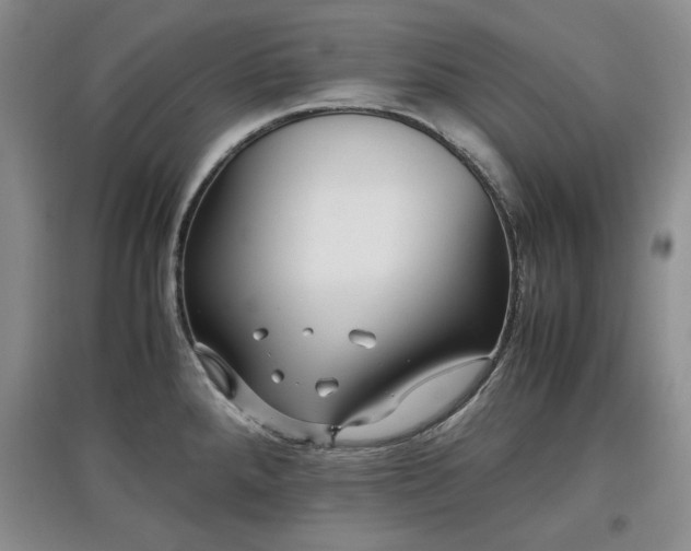 X0000097601288200803071422