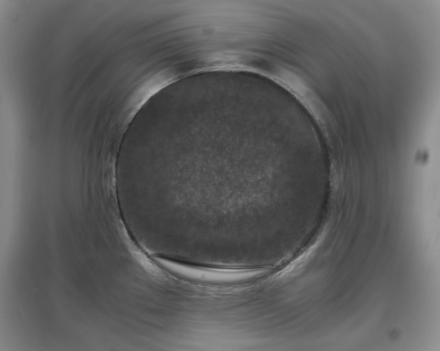 X0000097601289200803071422