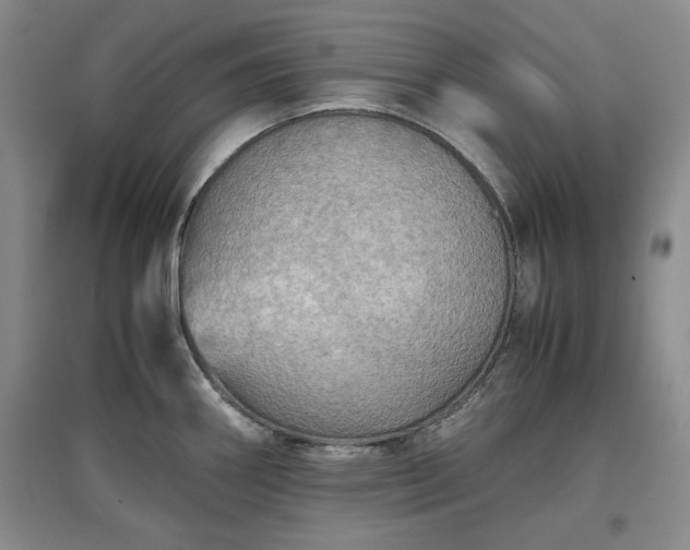 X0000097601290200803071422