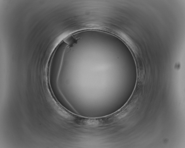 X0000097601291200803071422