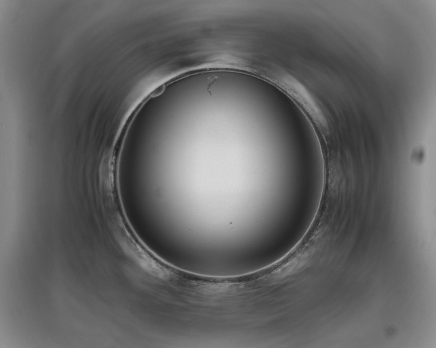 X0000097601292200803071422