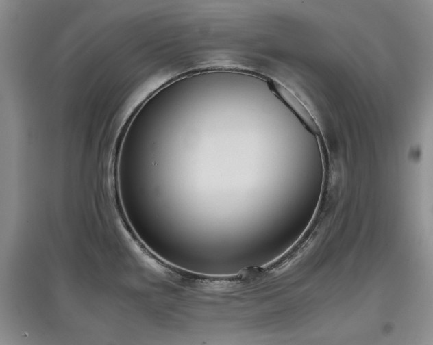 X0000097601293200803071422