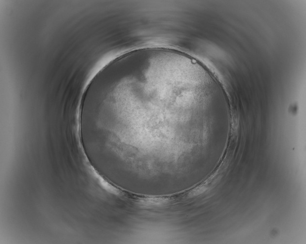 X0000097601294200803071422