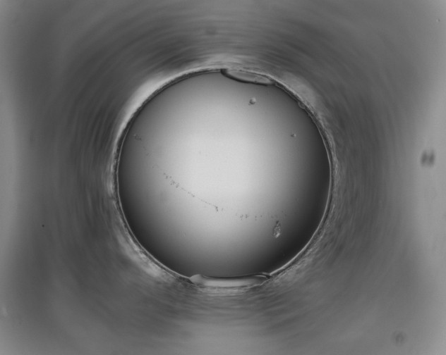 X0000097601296200803071422