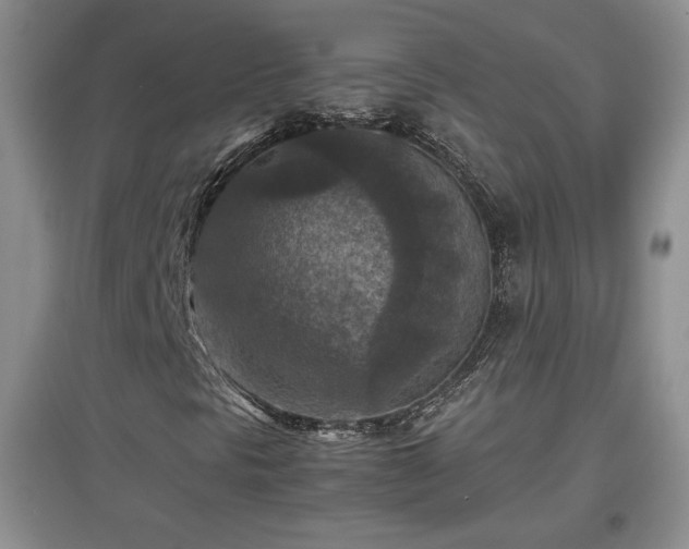 X0000097601297200803071421
