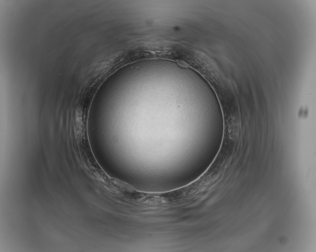 X0000097601298200803071421