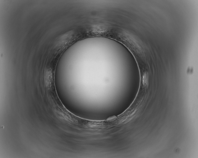 X0000097601299200803071421