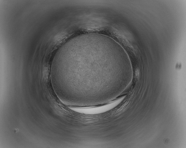 X0000097601300200803071421