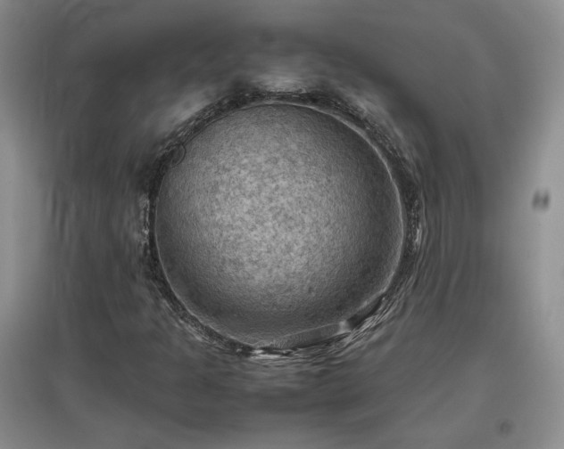 X0000097601301200803071421
