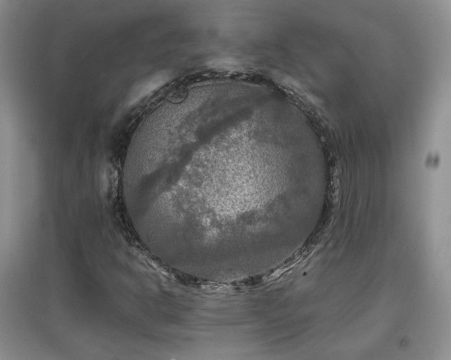 X0000097601302200803071421