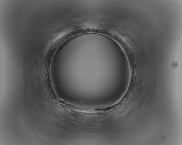 X0000097601303200803071421