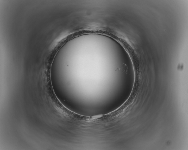 X0000097601304200803071421