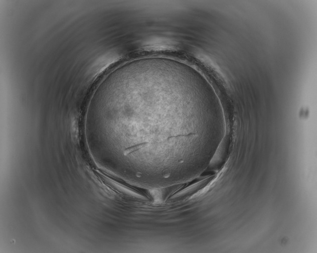 X0000097601305200803071421