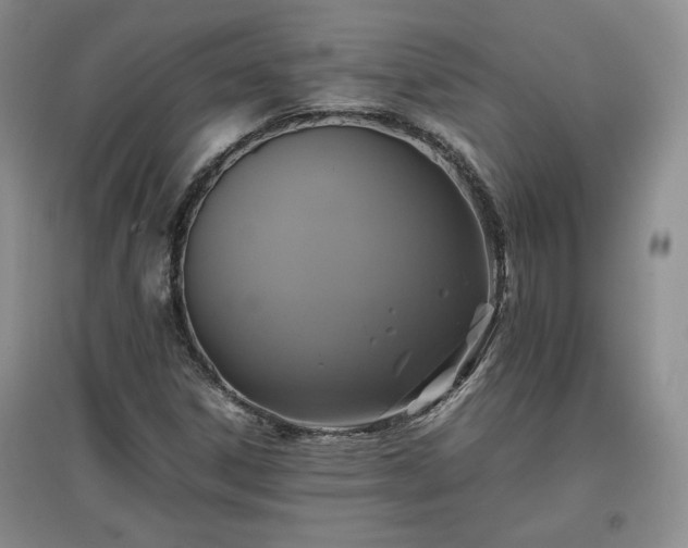 X0000097601306200803071421