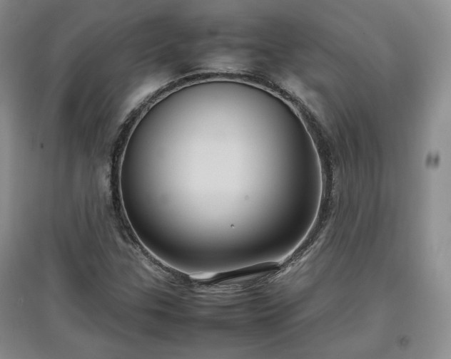 X0000097601307200803071421
