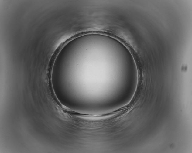 X0000097601308200803071421