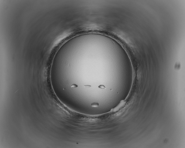 X0000097601309200803071421