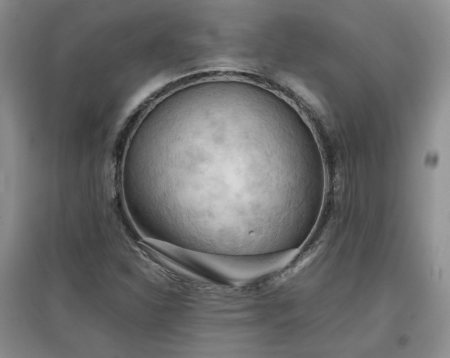 X0000097601310200803071421