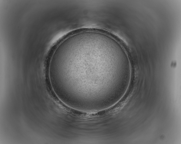 X0000097601311200803071421