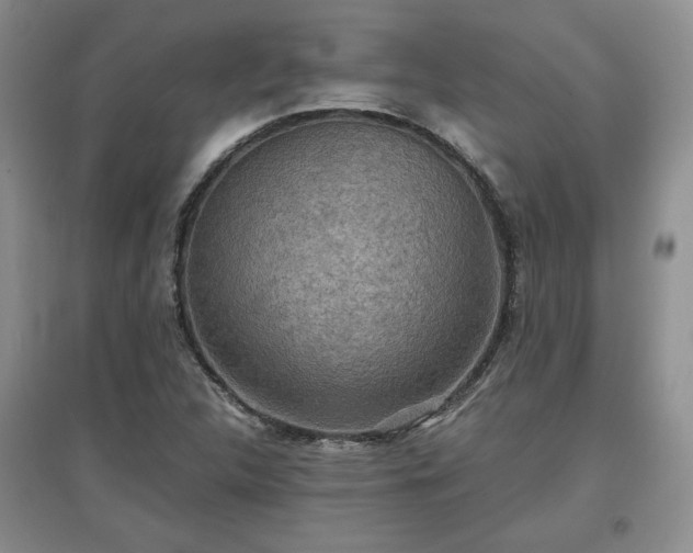 X0000097601312200803071421