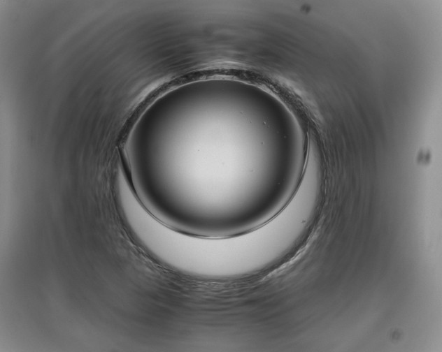 X0000097601313200803071421