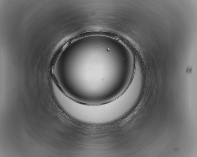 X0000097601314200803071421