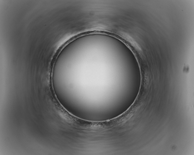 X0000097601316200803071421