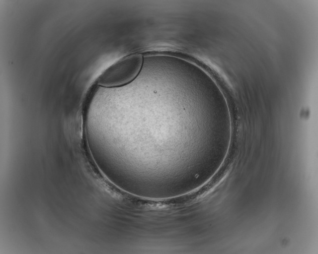 X0000097601317200803071421