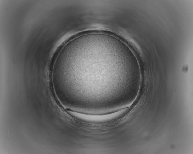X0000097601318200803071422