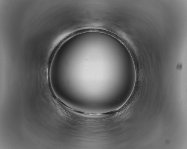 X0000097601320200803071422