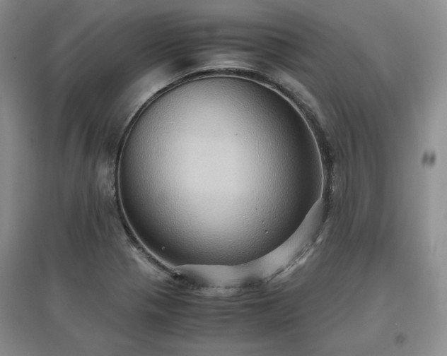 X0000097601321200803071422